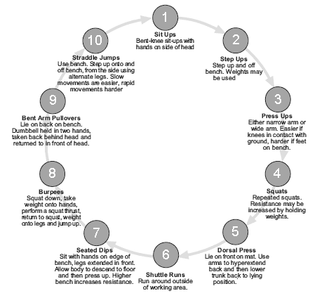 Circuit Training 10 exercises