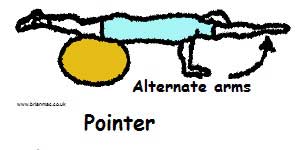Pointer