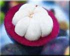 Mangosteen