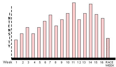 16 week cycle