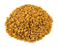 Fenugreek