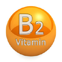 Riboflavin (B2)