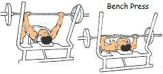 Bench press