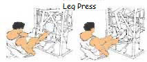 Leg Press