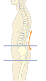 Muscle Balance