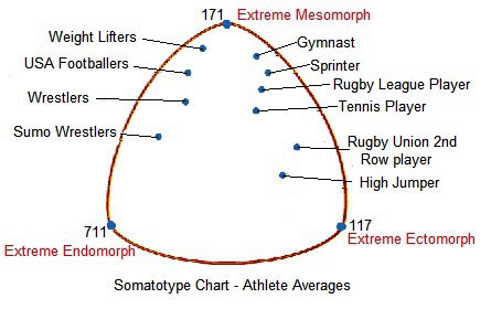Image result for what somatotypes suits what sports