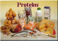 Proteins