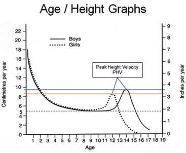 Testosterone development