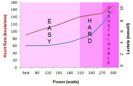 Blood Lactate Response Graph