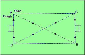 Rugby Test