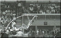 Pole Vault