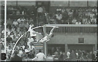 Pole Vault