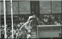 Pole Vault