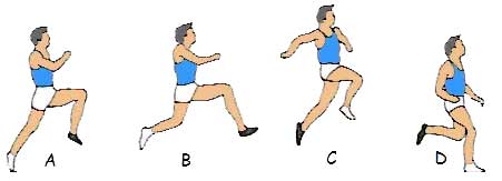 What are some long jump flight techniques?